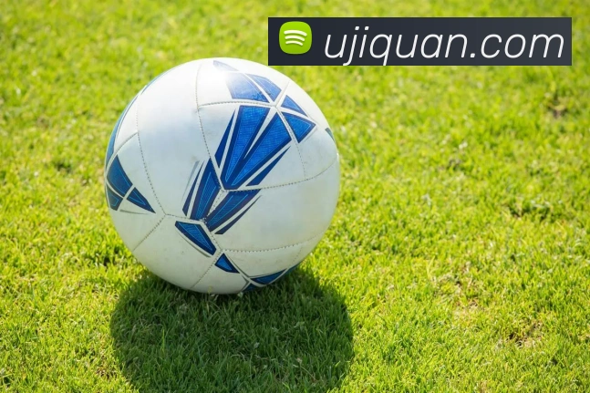 xc体育APP 封面图